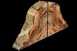 Tall, Arizona Petrified Wood Bookends - Red & Black #99319-1